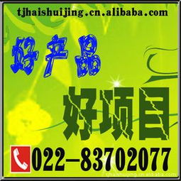 探索云計算在餐飲管理中的革新應用 以百威8000系統為例